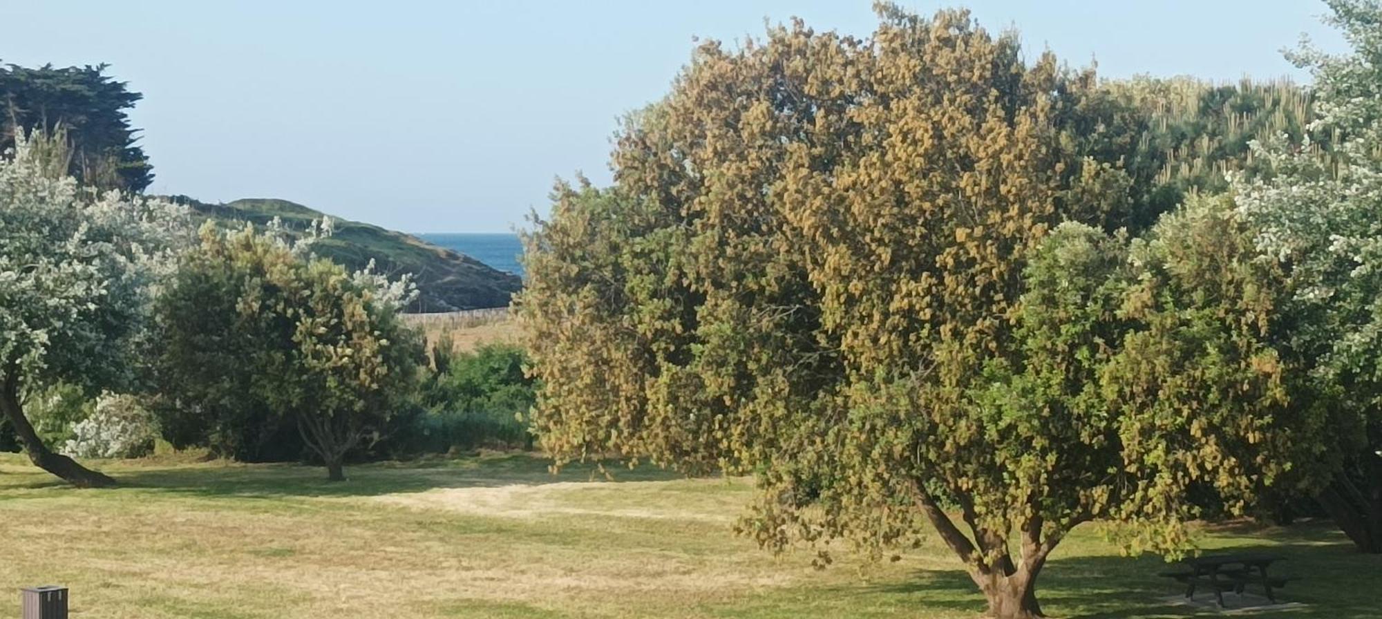 Appartement Vue Mer Exceptionnelle A 100M Tres Belle Plage Saint-Gildas-de-Rhuys Exterior foto